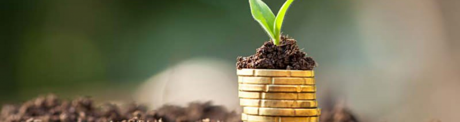 Corso di Valutazione Ambientale Strategica - VAS